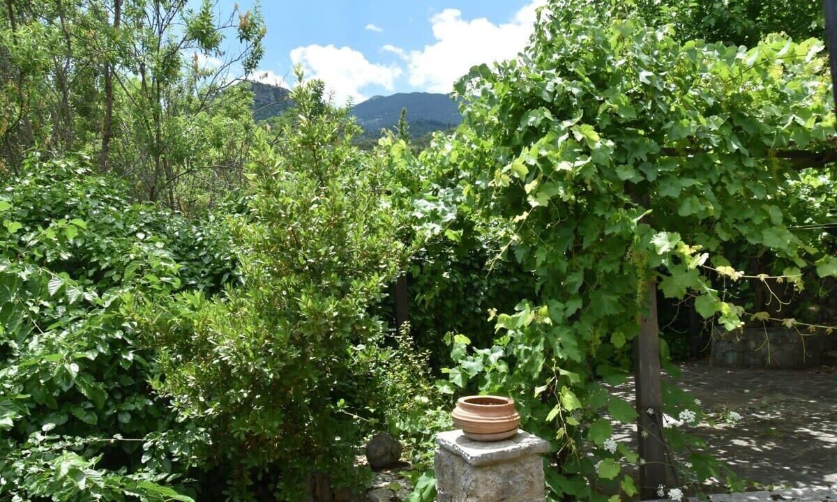 Photo of Outdoor in Kefalochori