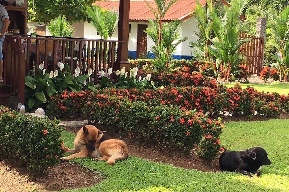 Photo of Outdoor in Valle Azul
