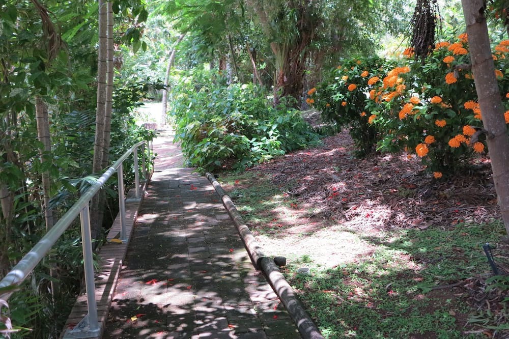 Photo of Outdoor in Arcadia