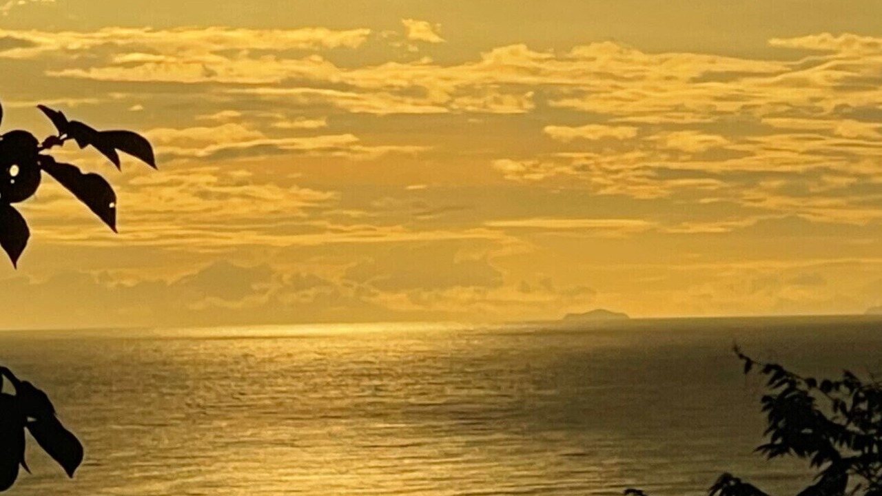 Photo of Others in Punta Leona