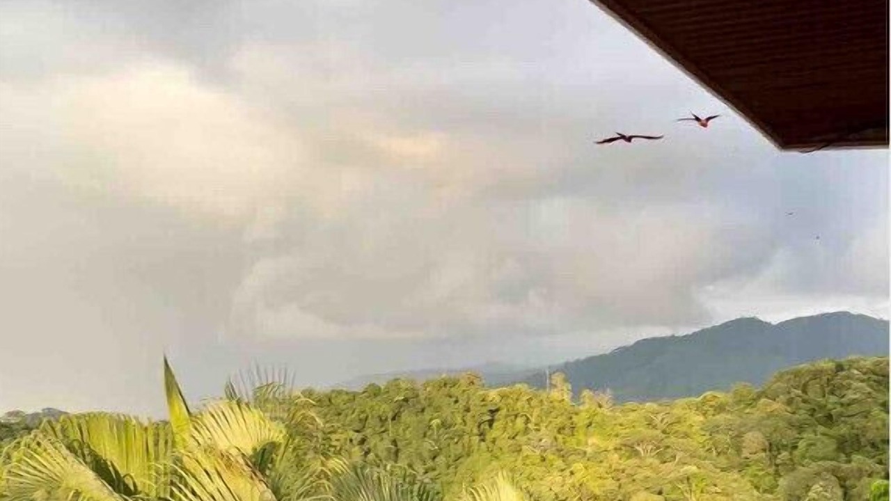 Photo of Outdoor in Punta Leona