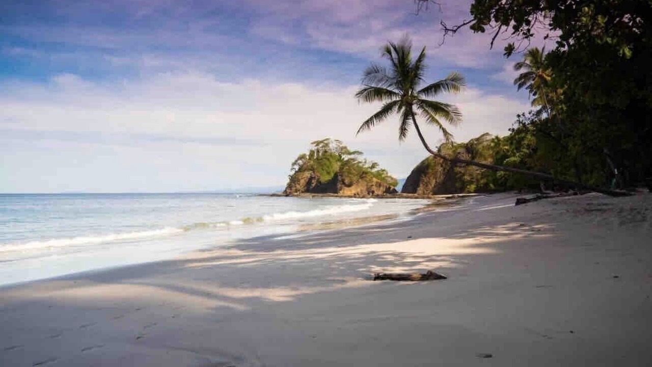 Photo of Others in Punta Leona