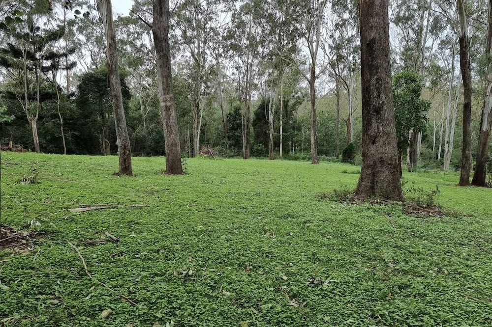 Photo of Outdoor in Brisbane