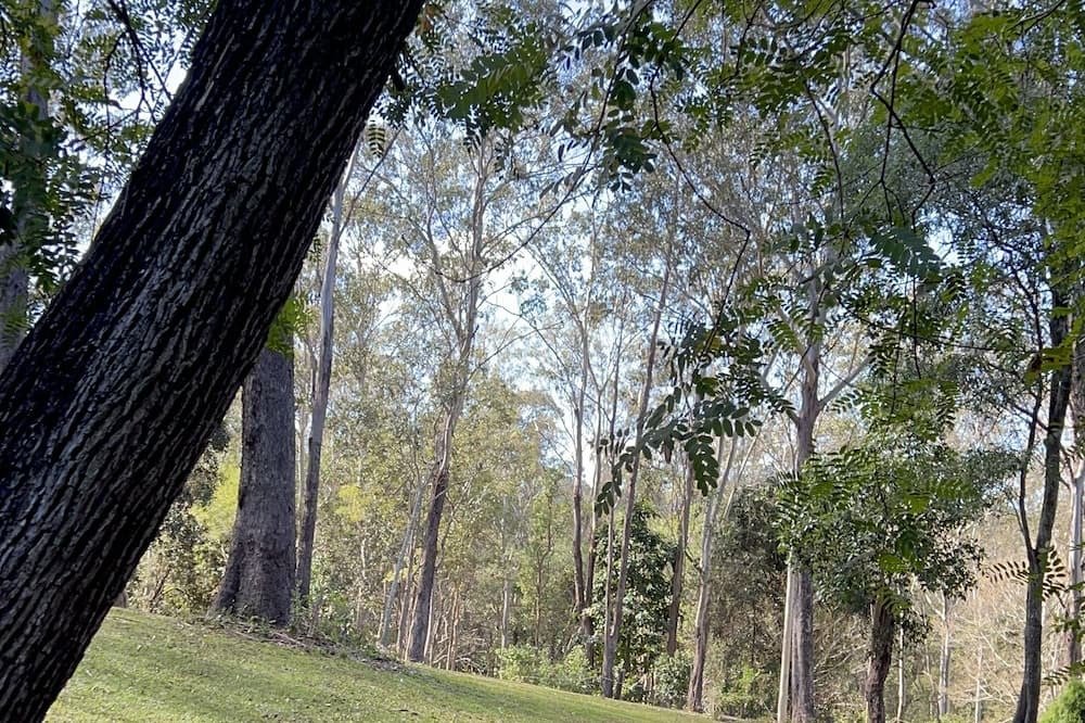 Photo of Outdoor in Brisbane