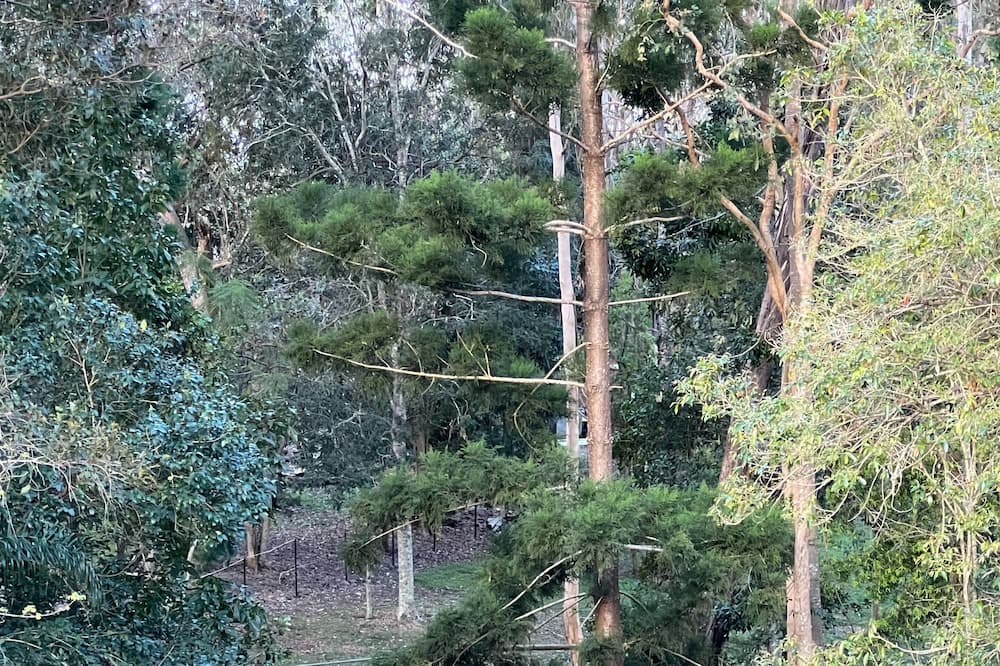 Photo of Others in Brisbane