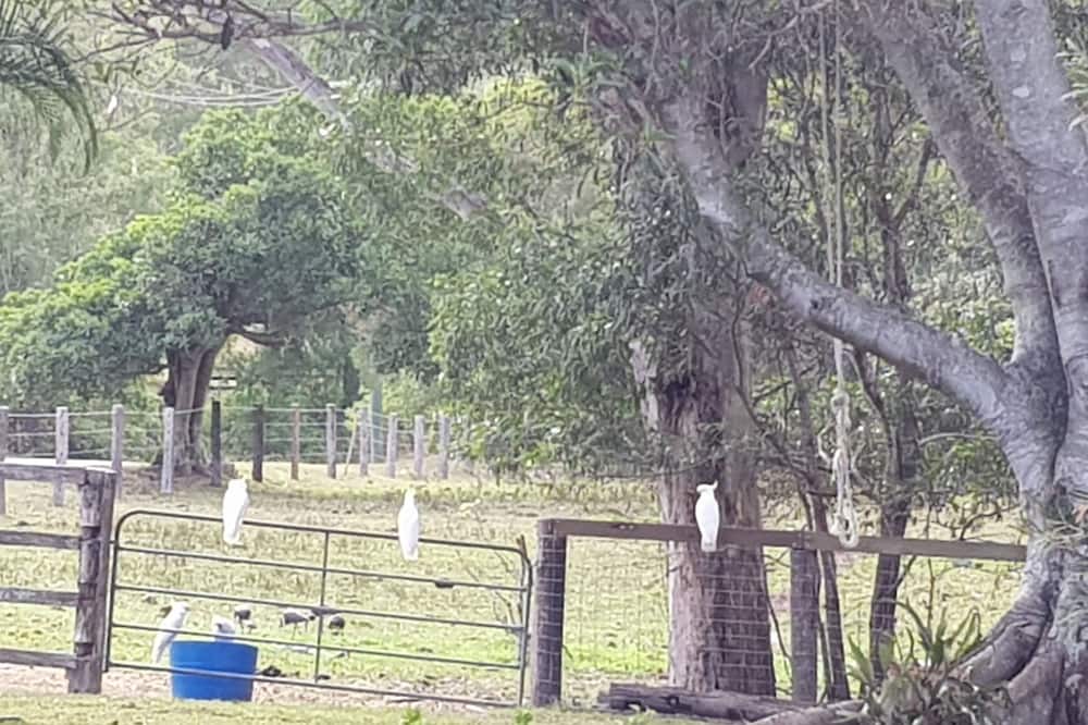 Photo of Outdoor in Cedar Creek