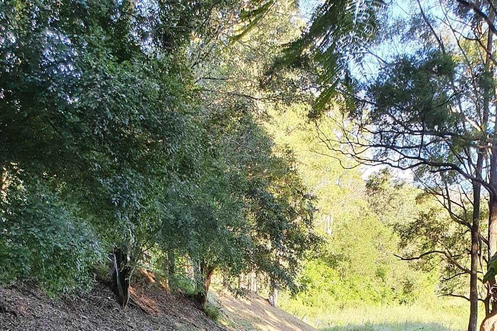 Photo of Outdoor in Cedar Creek