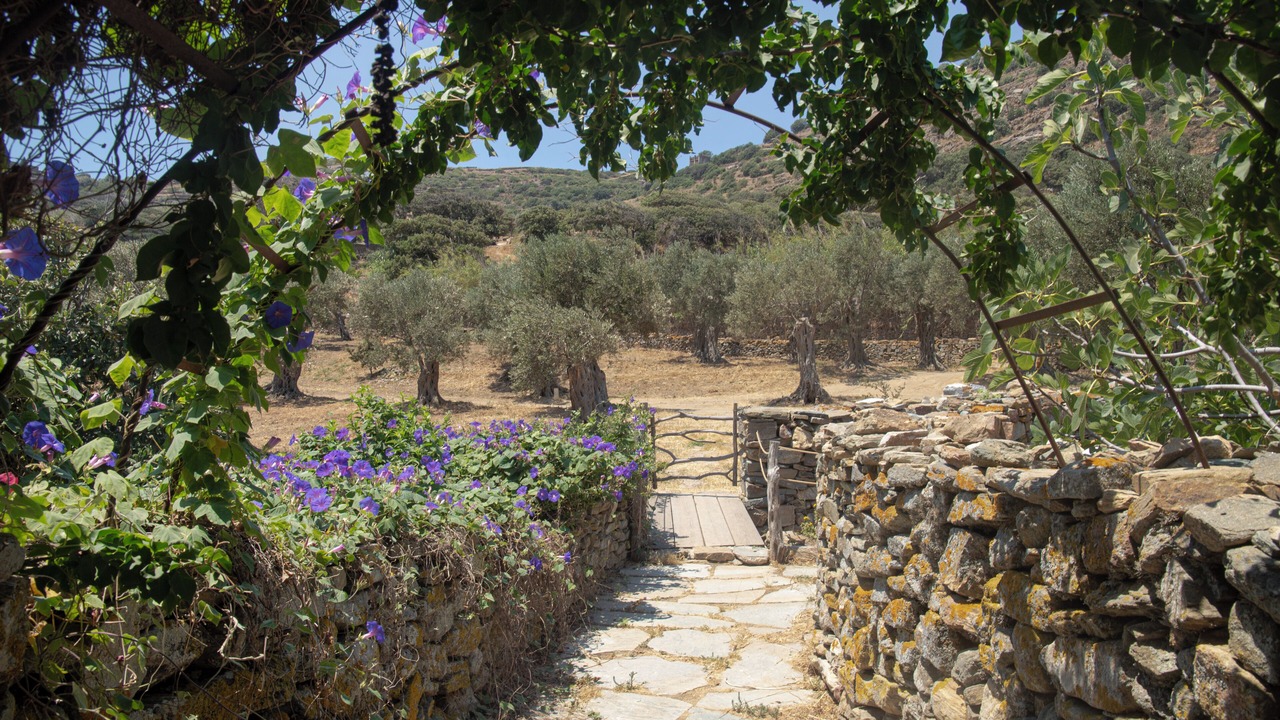 Photo of Others in Tinos