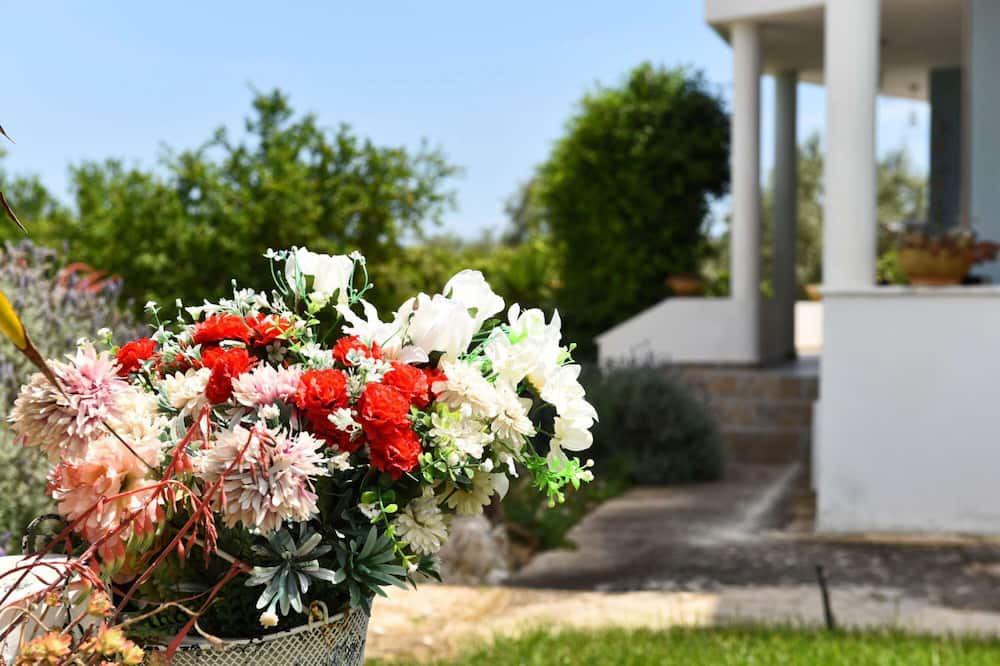 Photo of Outdoor in Kiveri