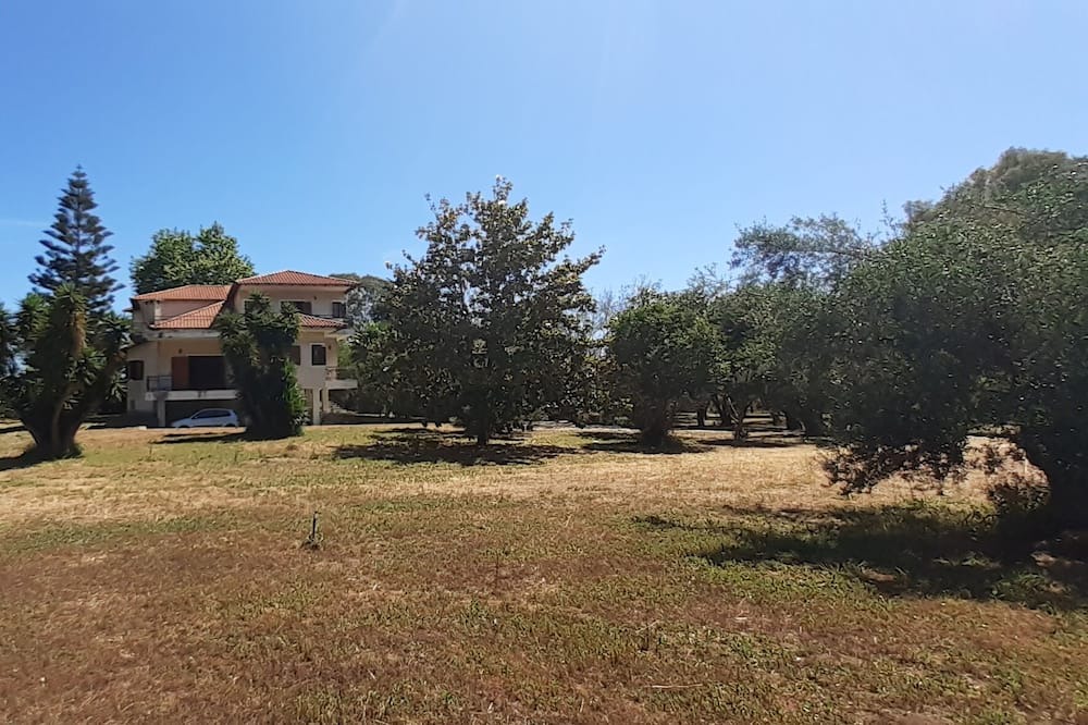 Photo of Outdoor in Amaliada