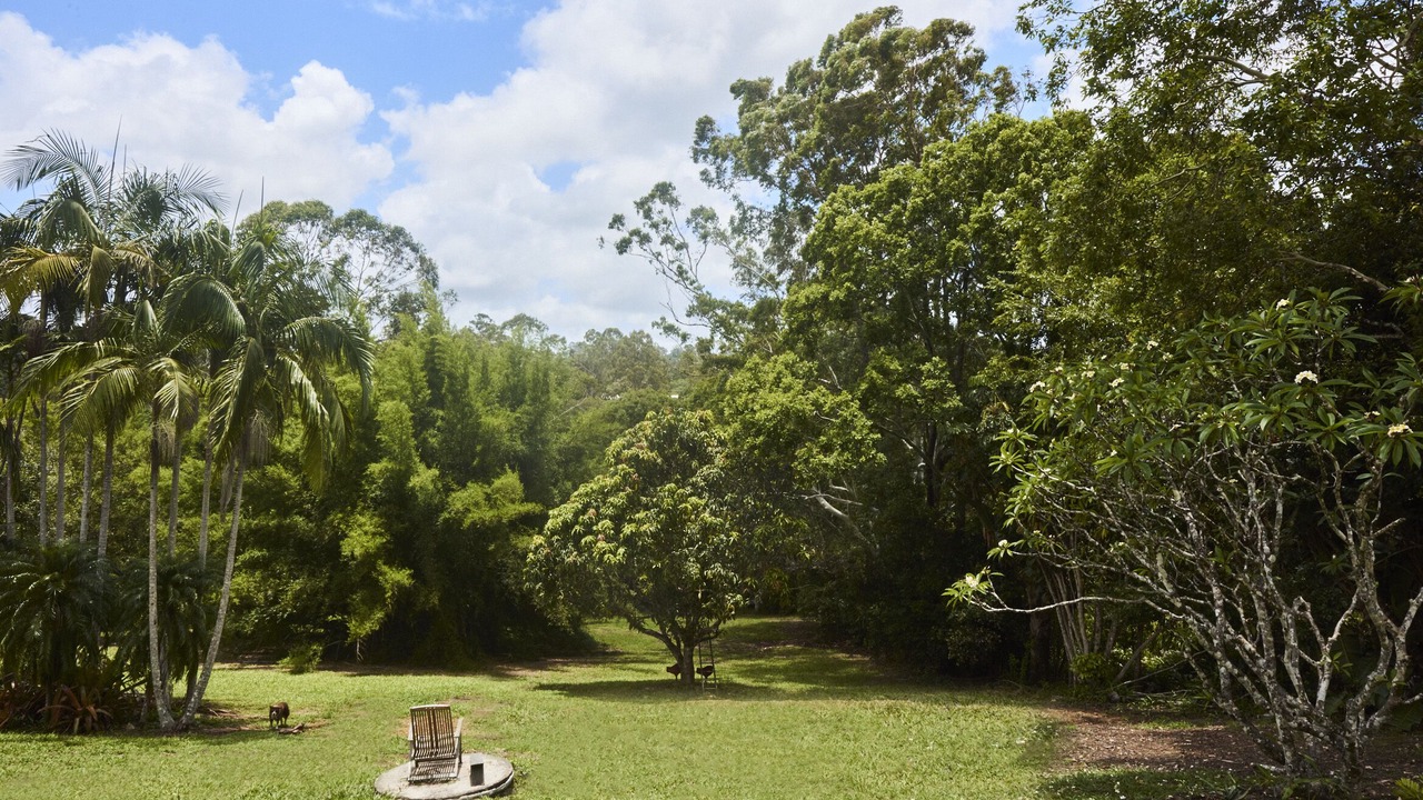 Photo of Outdoor in Eumundi