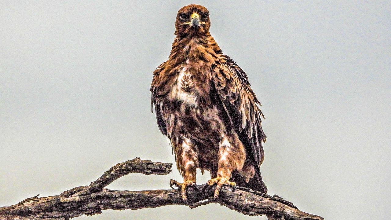 Photo of Others in Hazyview