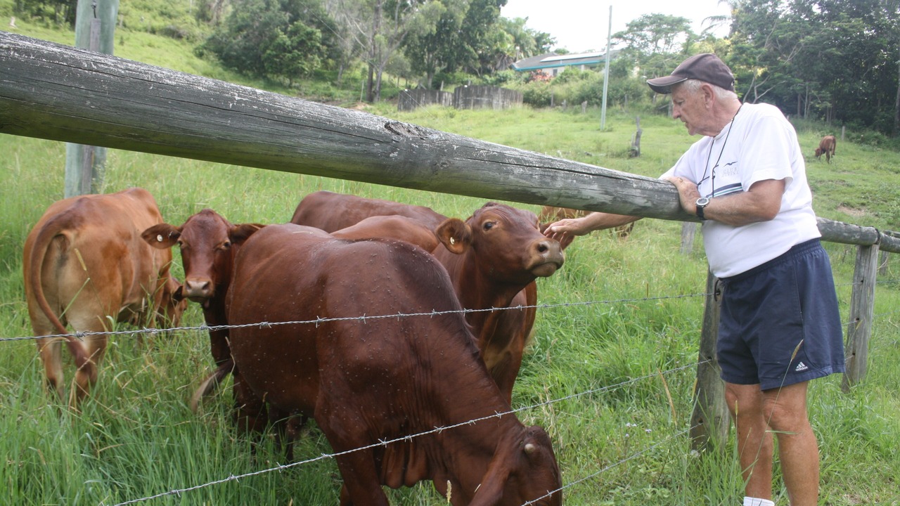 Photo of Outdoor in Cooran