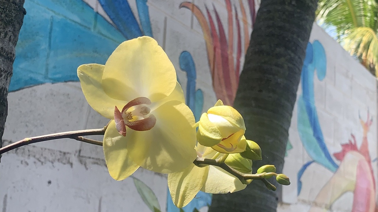 Photo of Outdoor in Barranca