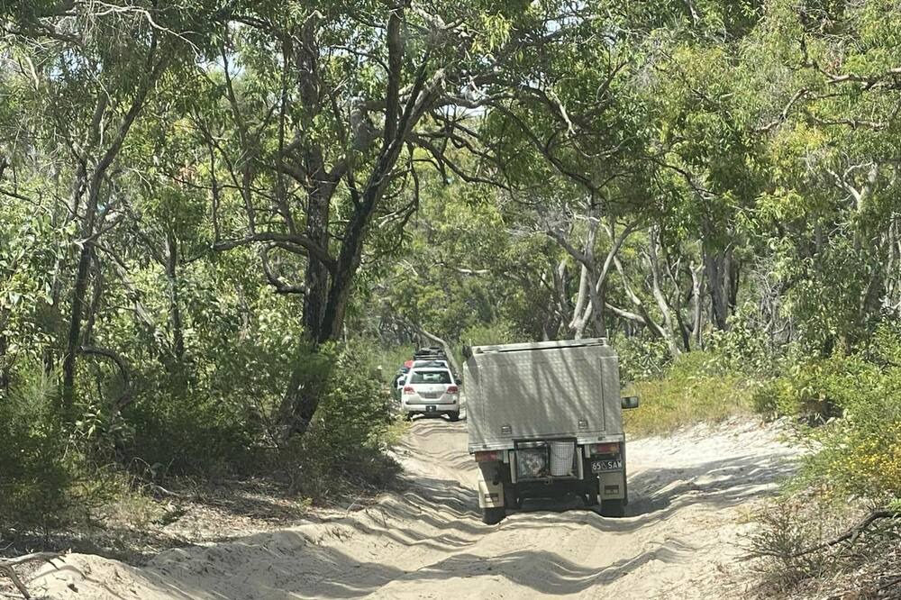 Photo of Others in Orchid Beach