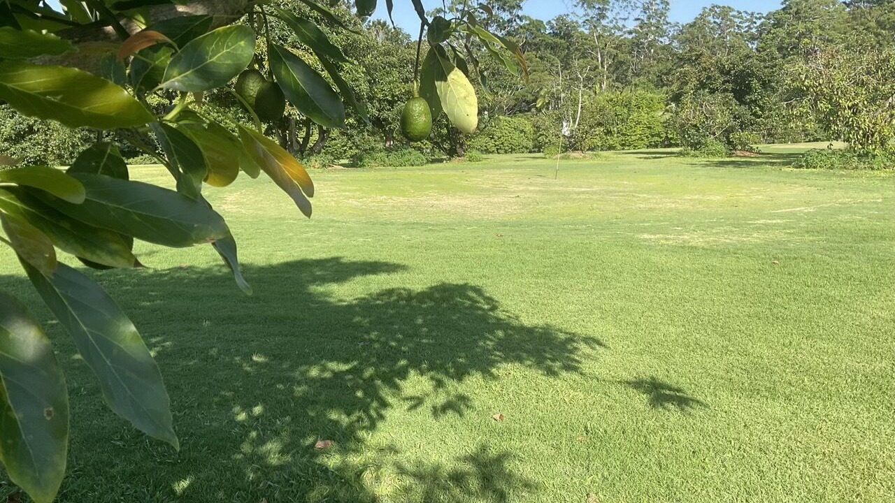 Photo of Others in Diddillibah