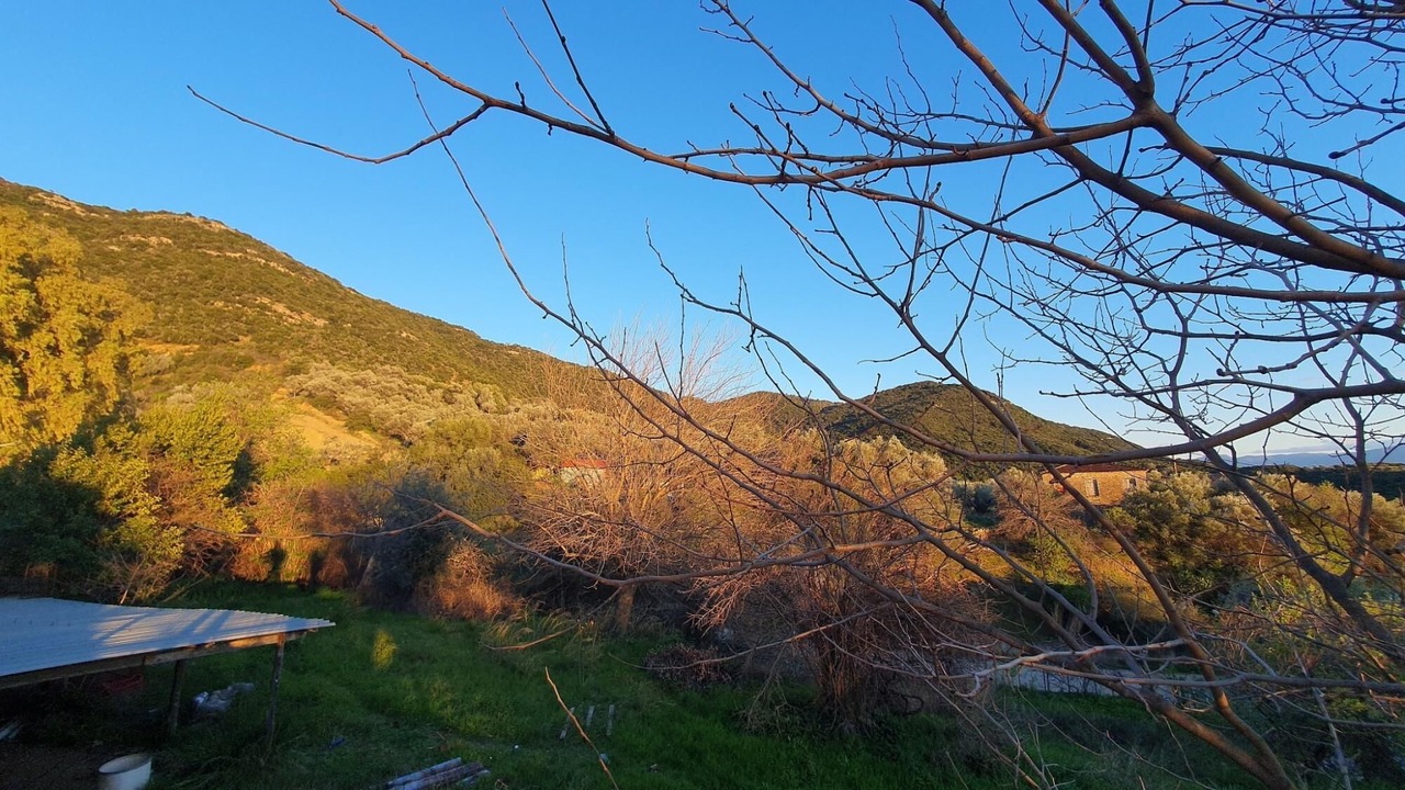 Photo of Others in Agrinio
