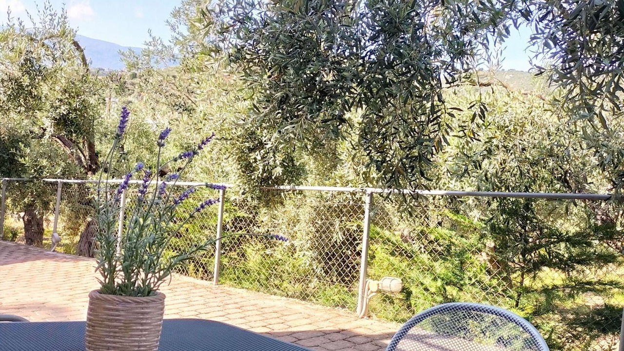 Photo of Outdoor in Afissos