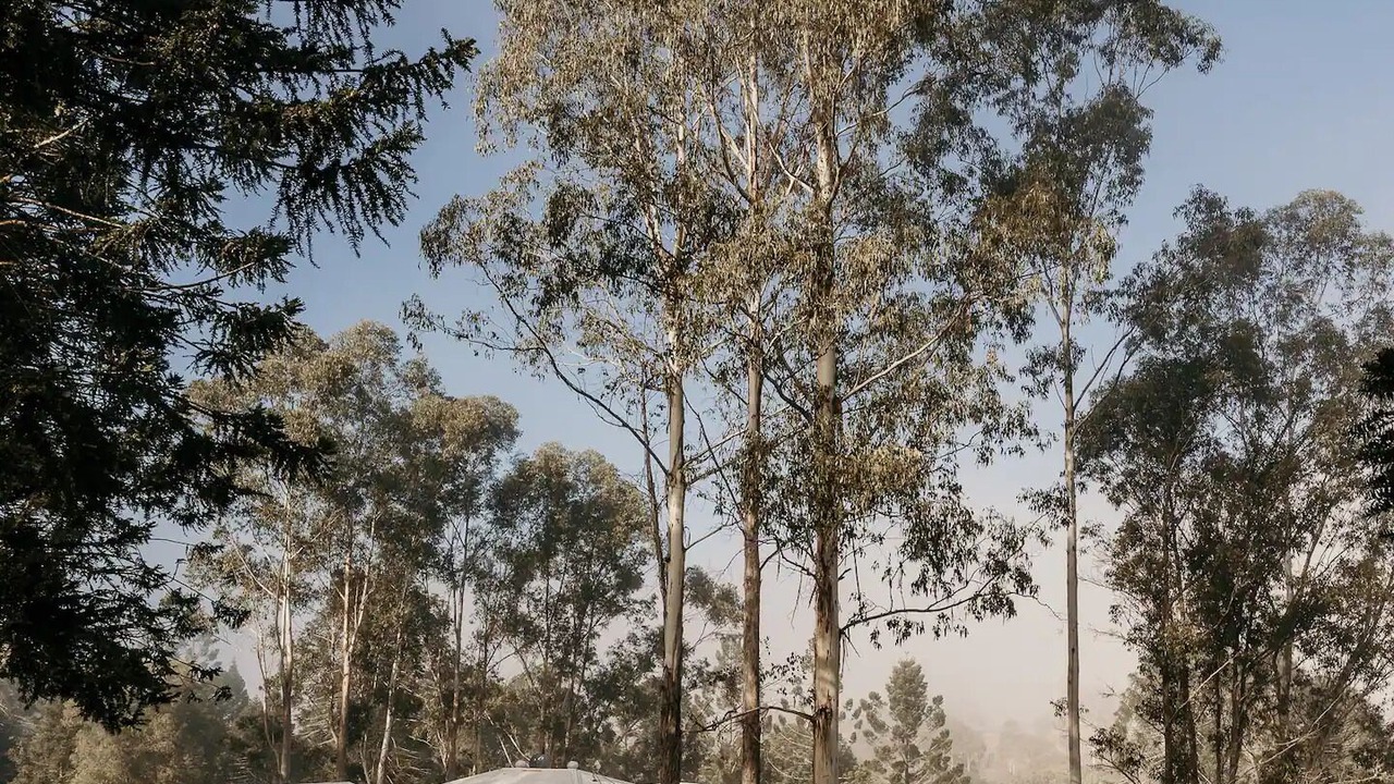 Photo of Outdoor in Kidaman Creek