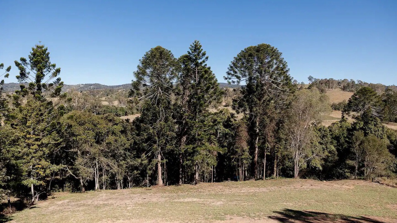 Photo of Outdoor in Kidaman Creek