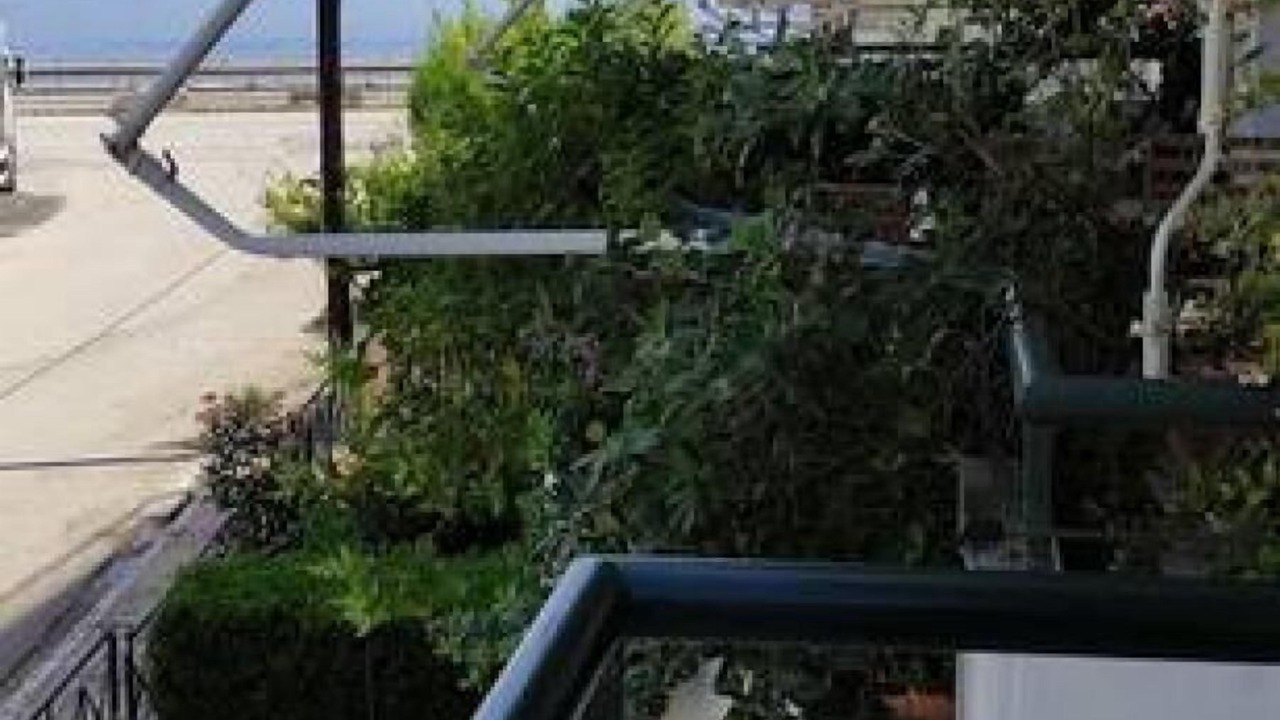 Photo of Others in Molos-Agios Konstantinos