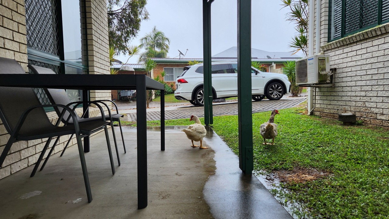 Photo of Outdoor in North Mackay