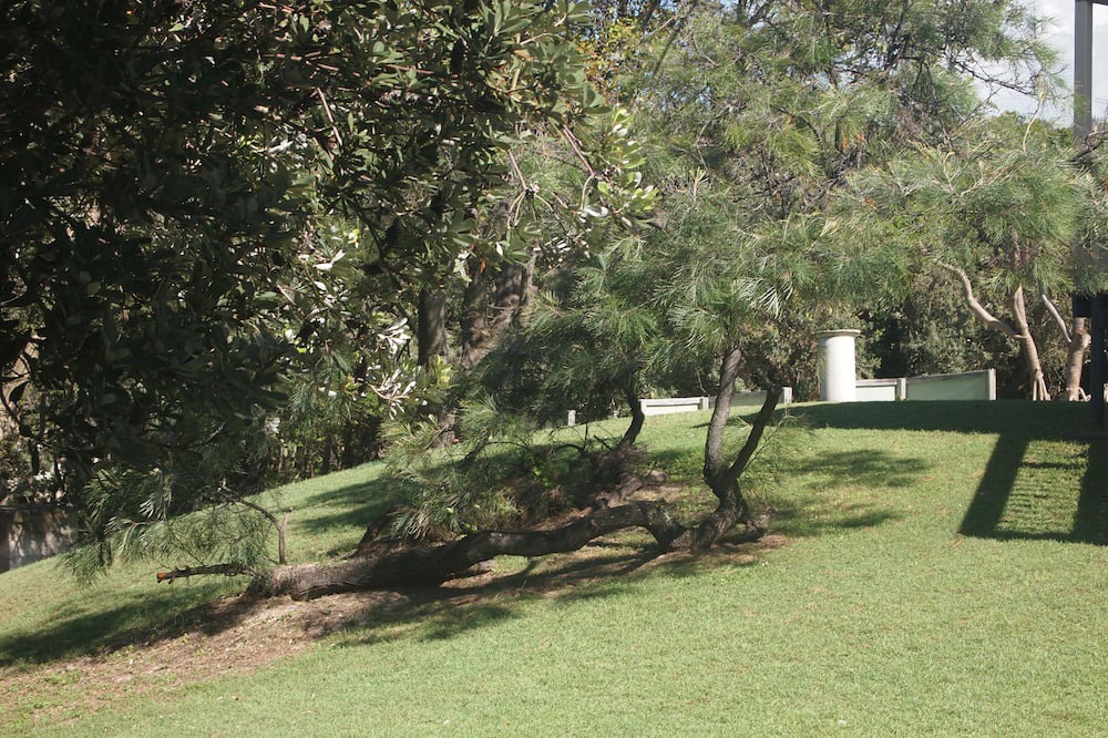 Photo of Outdoor in Maheno
