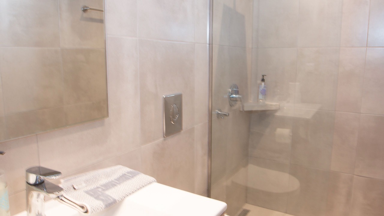 Photo of Bathroom in Steni Dirfyos