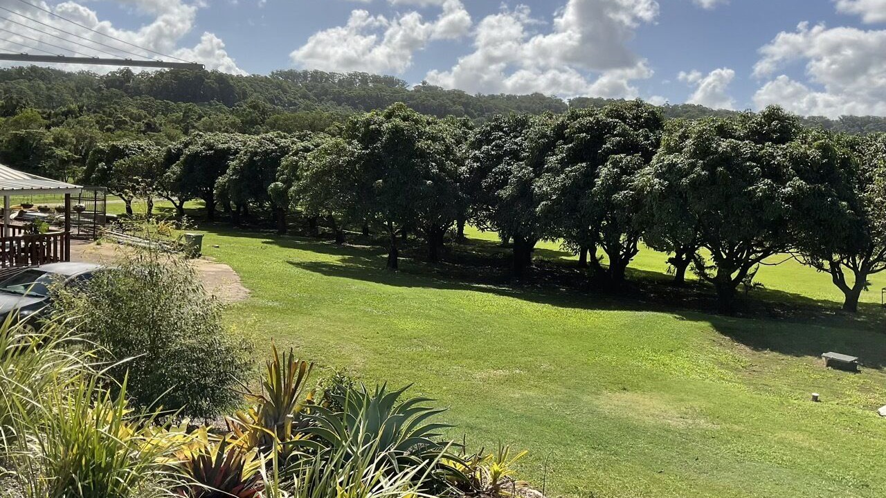 Photo of Outdoor in Diddillibah