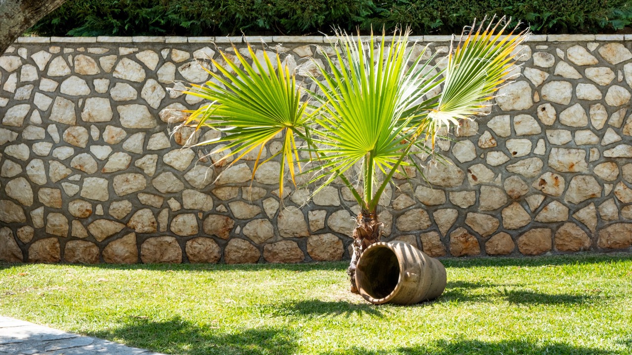 Photo of Outdoor in Kavallos