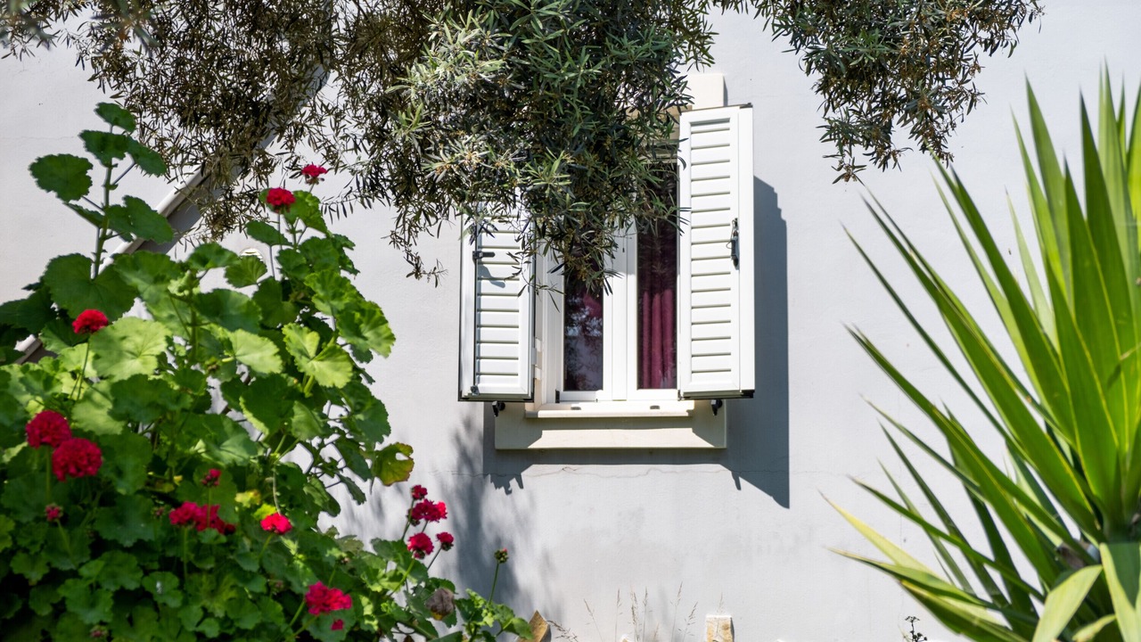 Photo of Outdoor in Kavallos
