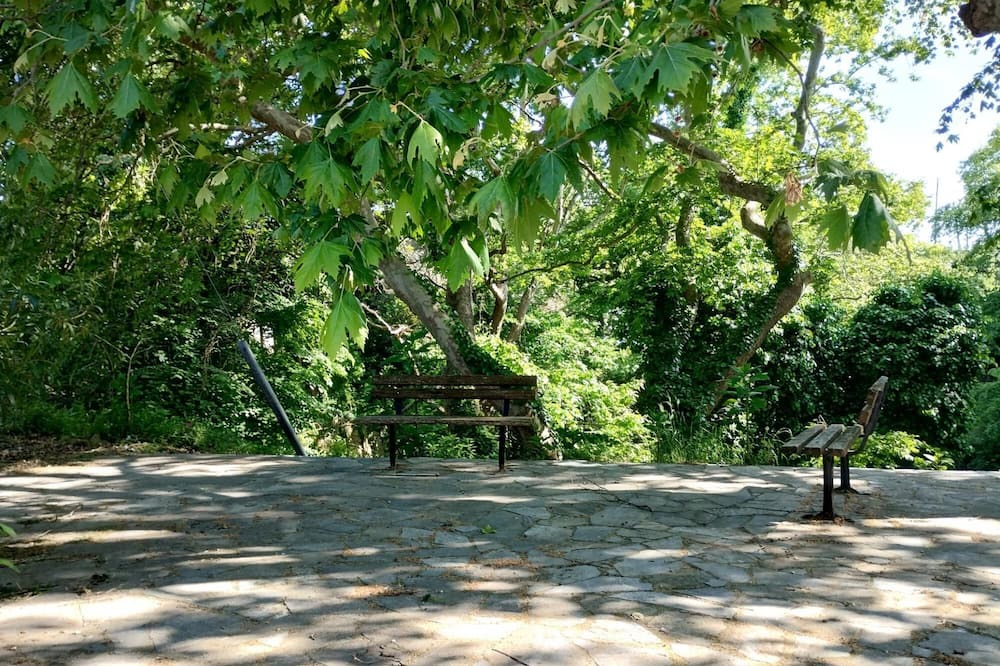 Photo of Outdoor in Afetai