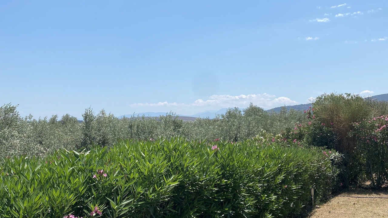 Photo of Outdoor in Galaxidi