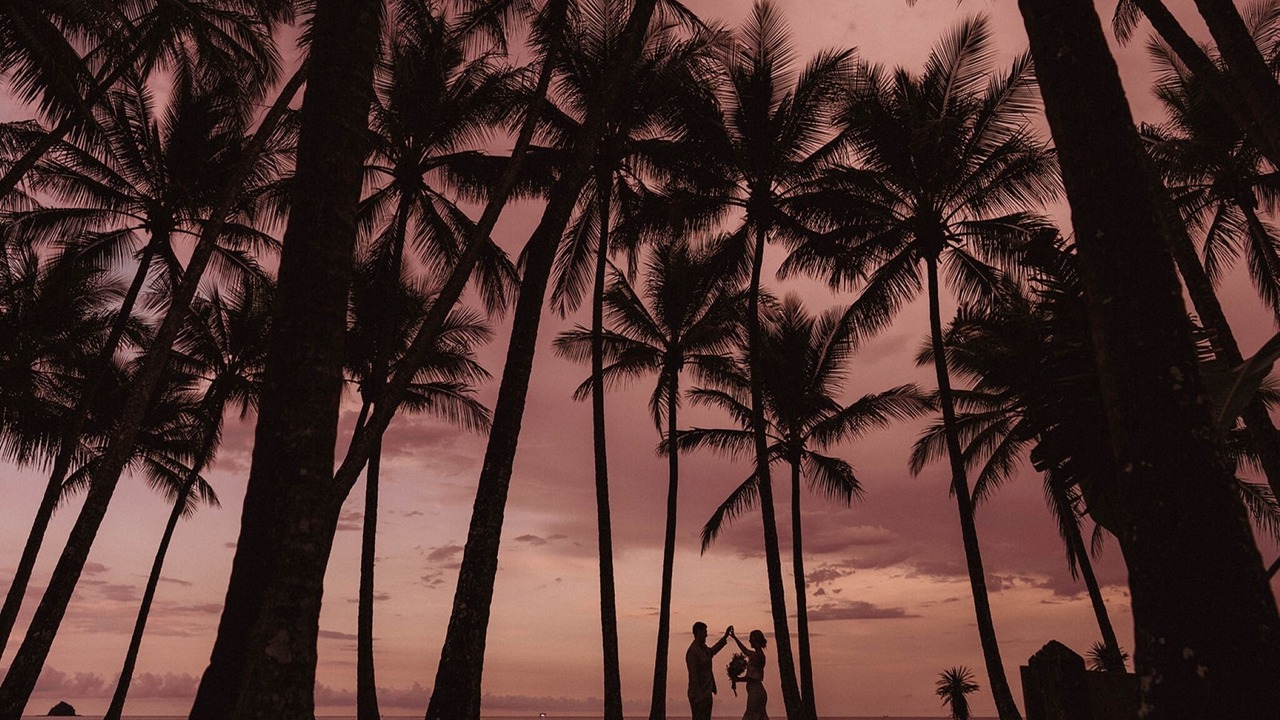 Photo of Others in Palm Cove