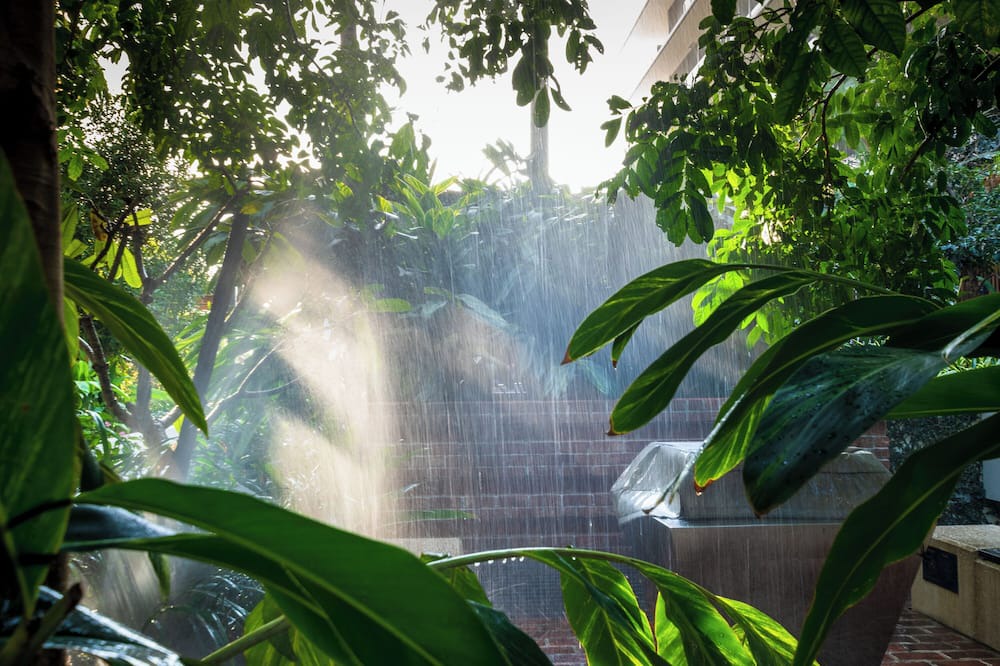 Photo of Outdoor in Newstead