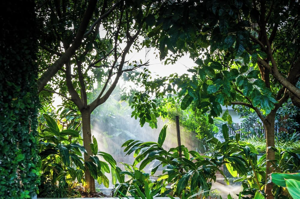 Photo of Outdoor in Newstead