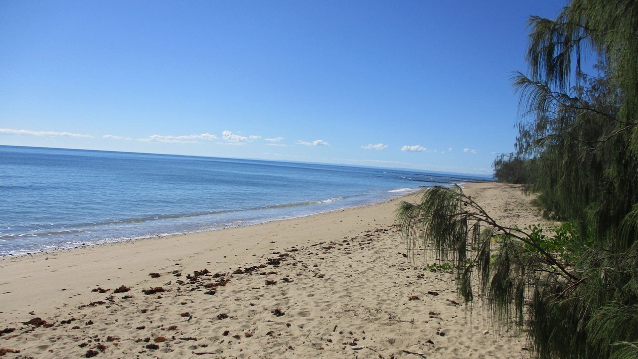 Photo of Others in Point Vernon