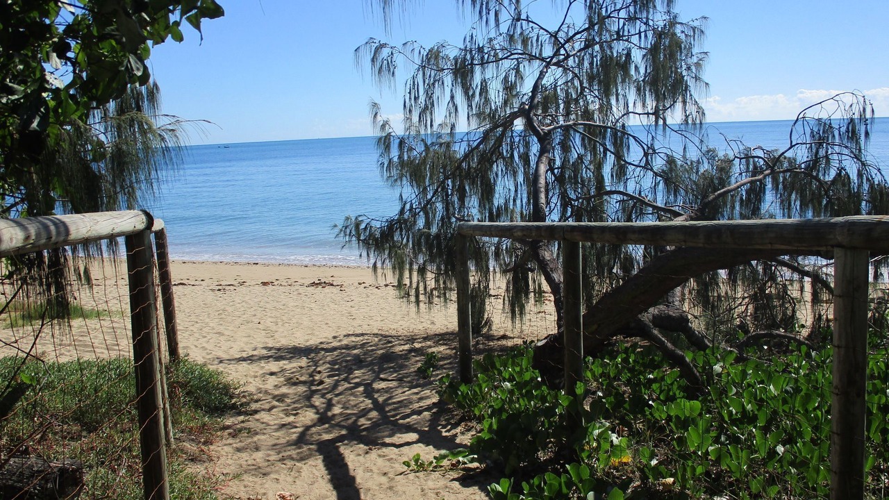 Photo of Others in Point Vernon