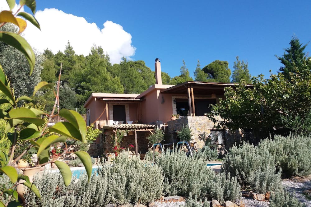 Photo of Outdoor in Nerotrivia