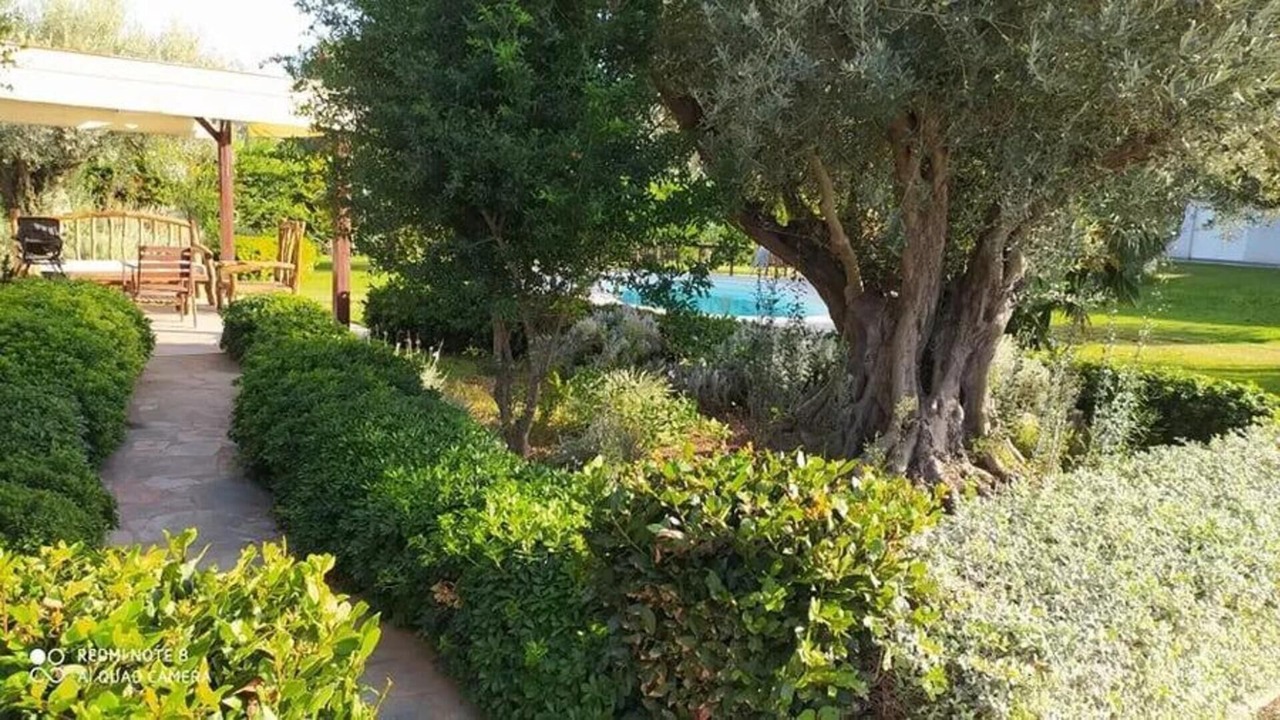 Photo of Outdoor in Chalcis