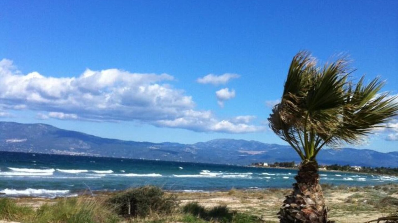 Photo of Others in Chalcis