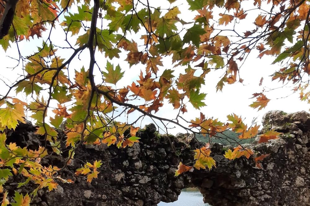 Photo of Outdoor in Synikia Mesi Trikalon