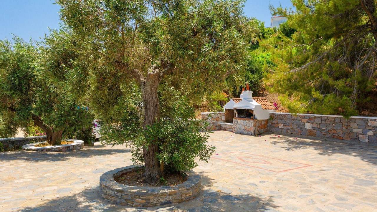 Photo of Others in Skopelos
