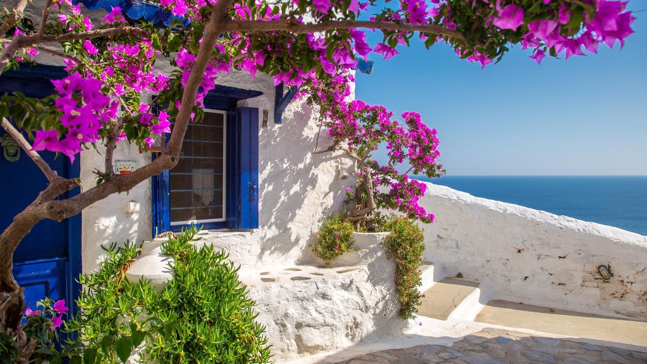 Photo of Others in Skopelos