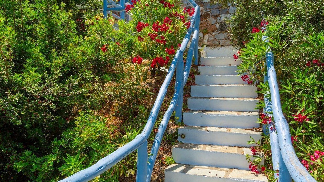 Photo of Others in Skopelos