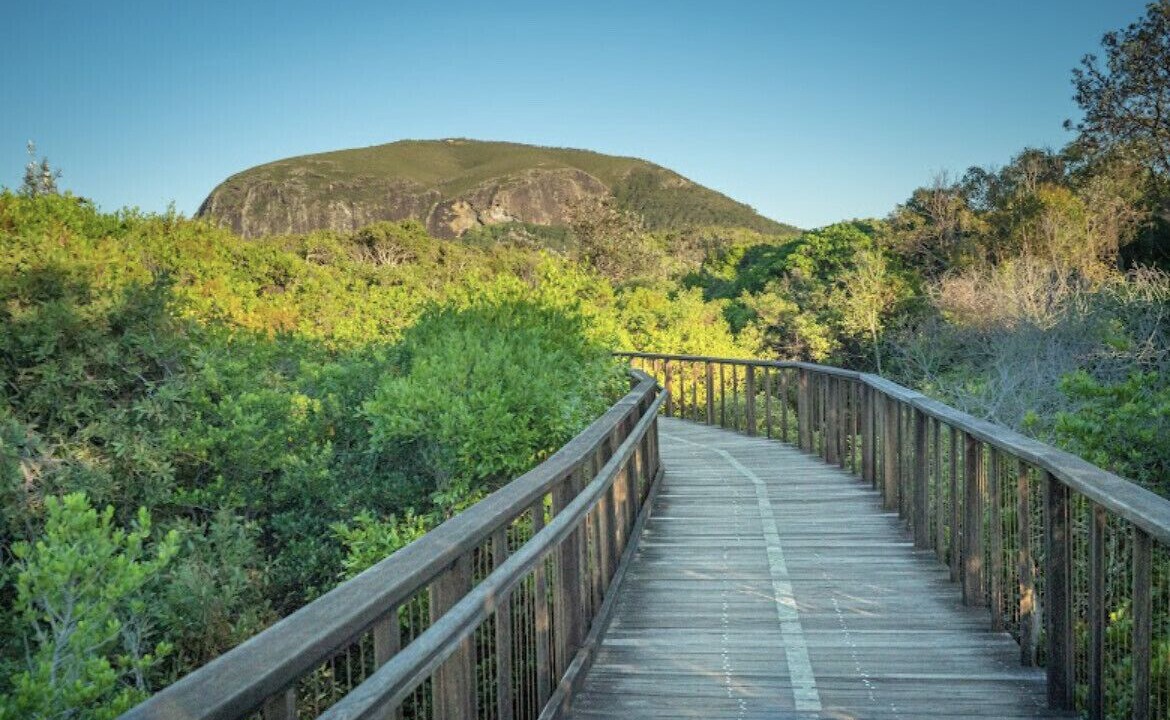 Photo of Others in Mount Coolum