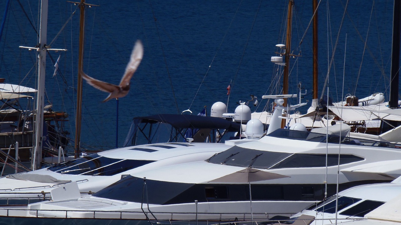 Photo of Others in Poros