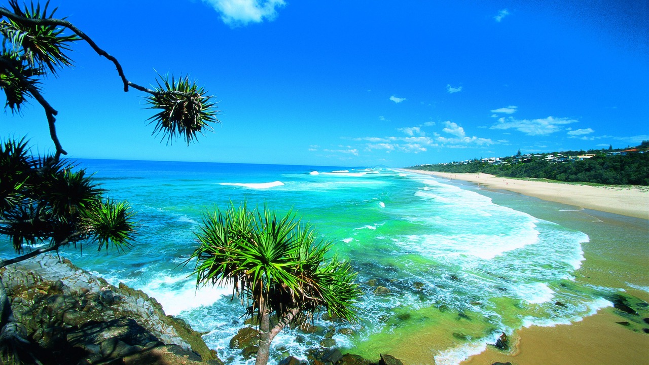 Photo of Outdoor in Sunshine Beach