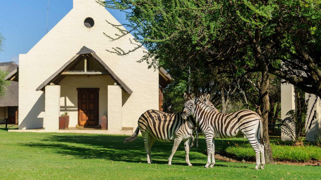 Photo of Others in Hammanskraal