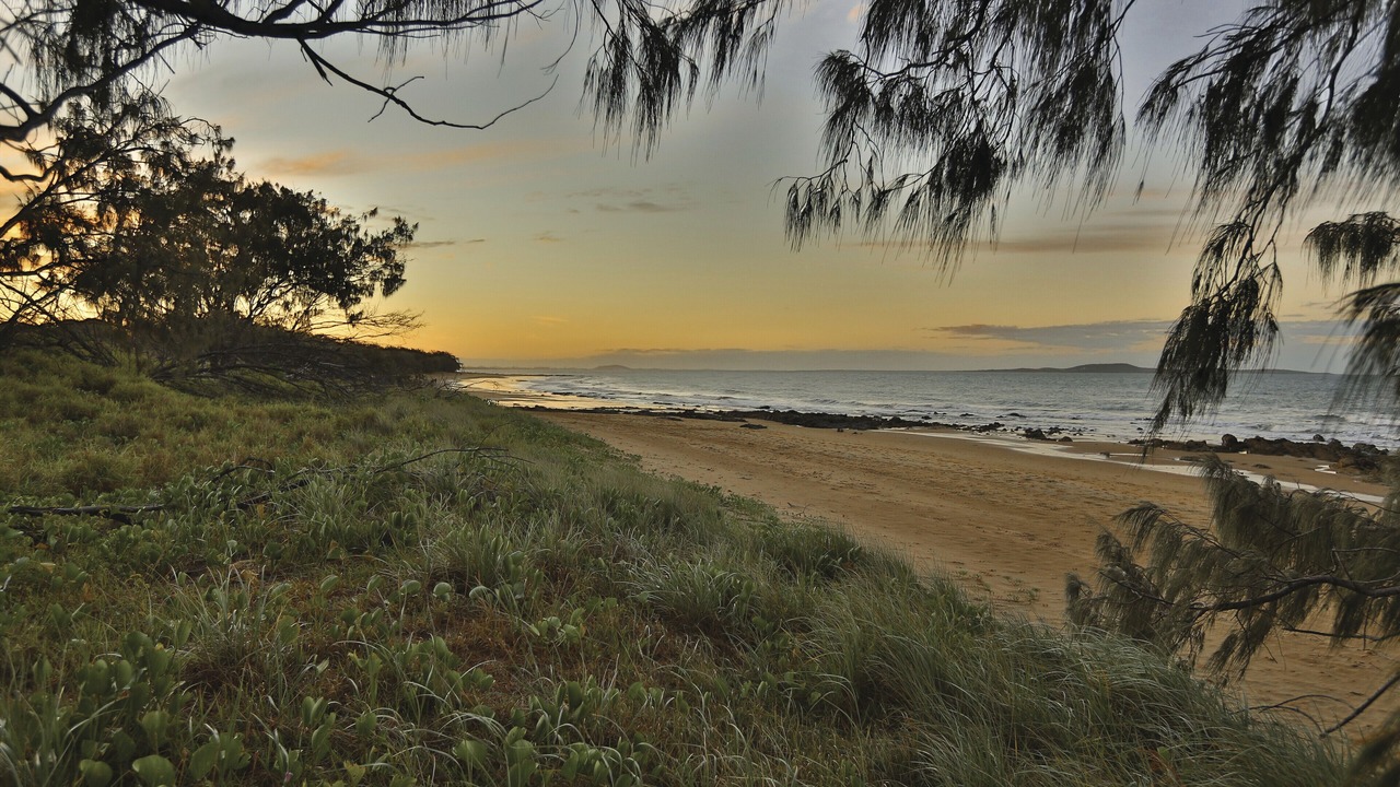 Photo of Others in Barney Point